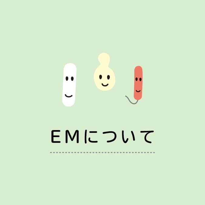 EMについて