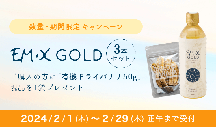 キャンペーン】EM・X GOLD 500ml×3本（有機ドライバナナプレゼント